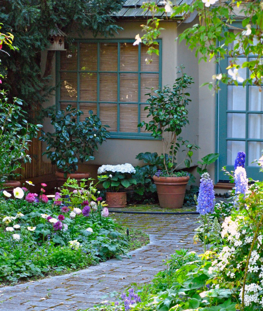 THE COTTAGE GARDEN AT 5 CASANOVA ST. | Once upon a time..Tales from ...
